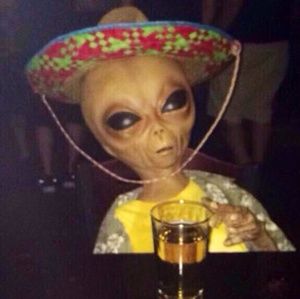 Meet your Posher, Audrey